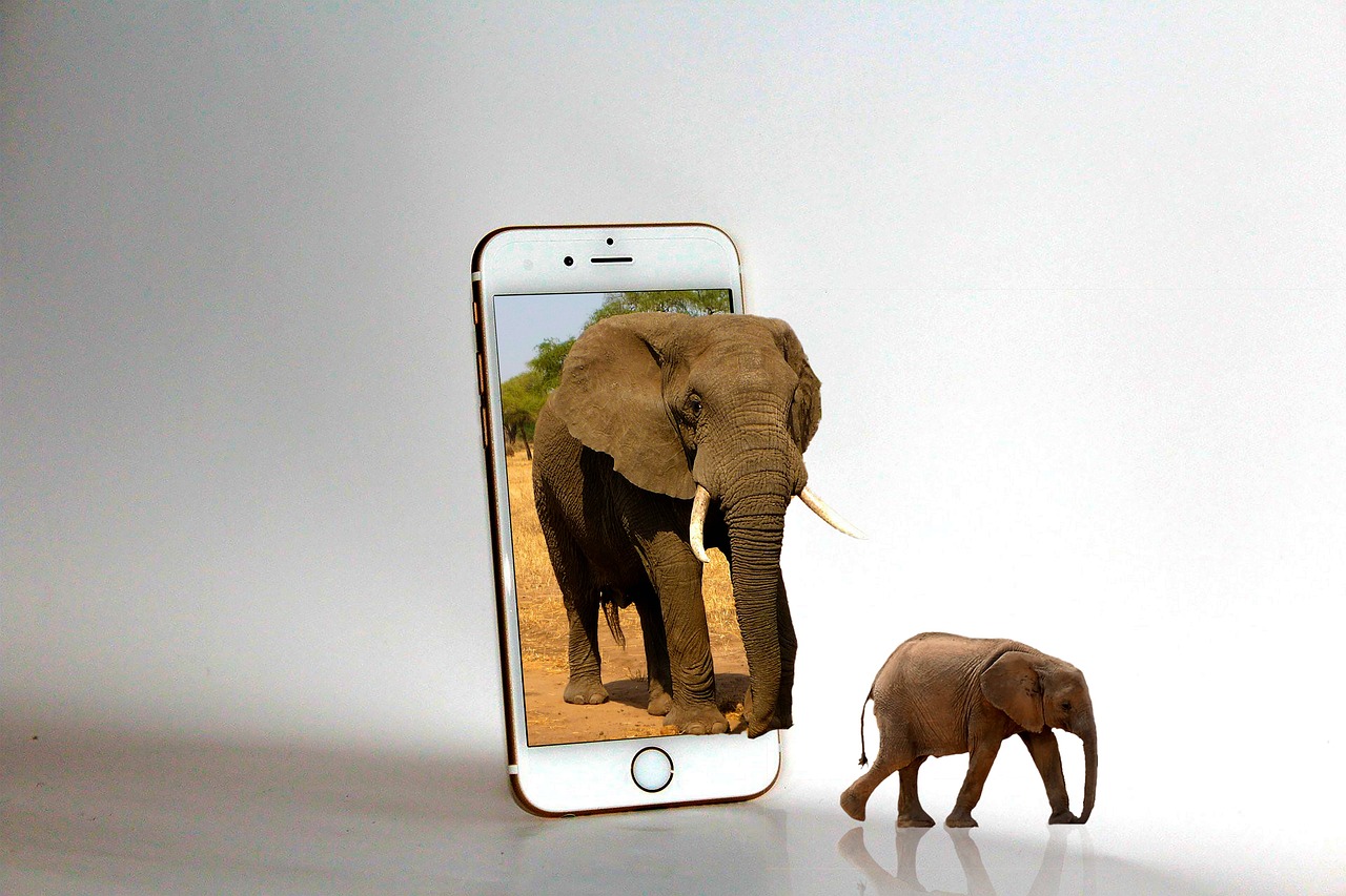 Understanding How Pets React To Speaker Cleaning Sounds